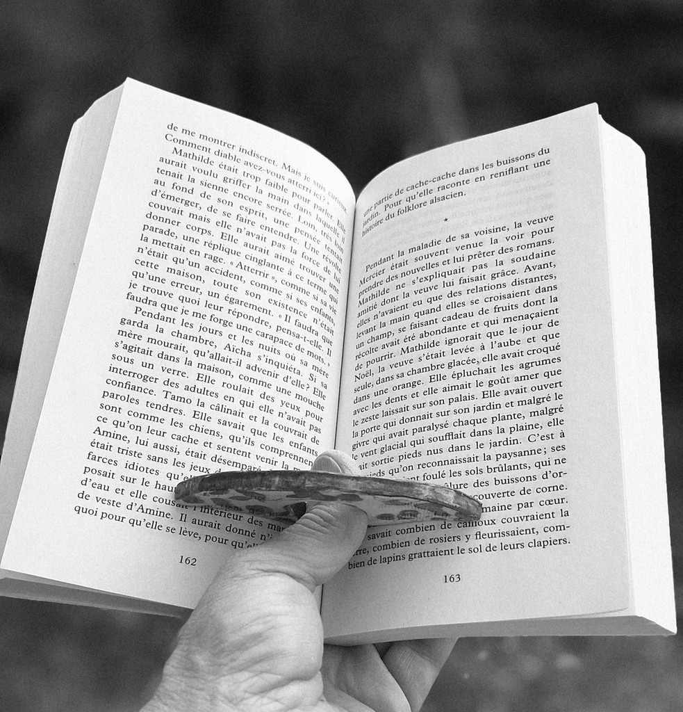 Bague lecture fonctionnement